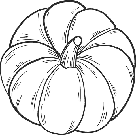 Coloring large round pumpkin
